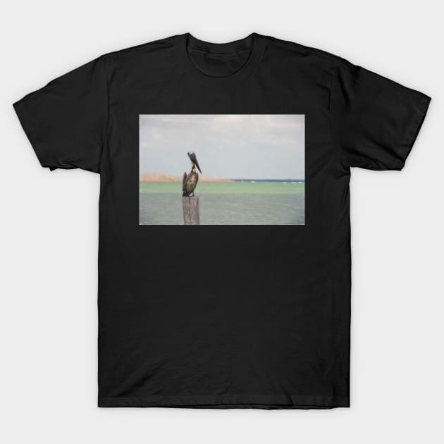 Pelican by the sea T-Shirt by randymir